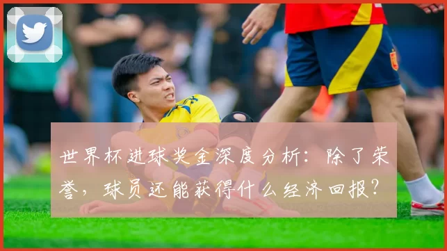世界杯进球奖金深度分析:除了荣誉,球员还能获得什么经济回报?