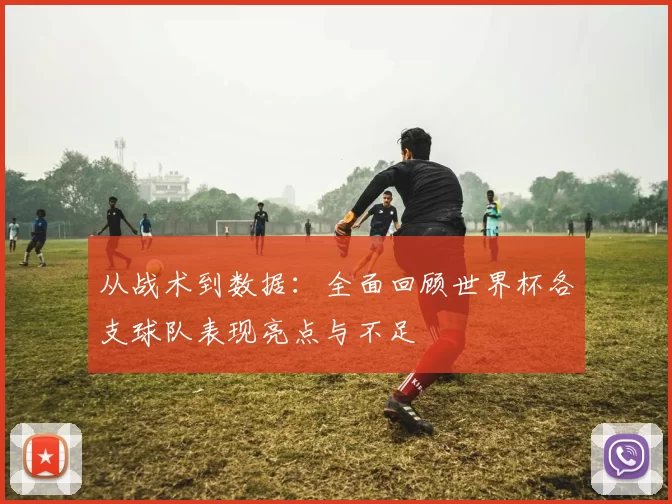 从战术到数据：全面回顾世界杯各支球队表现亮点与不足