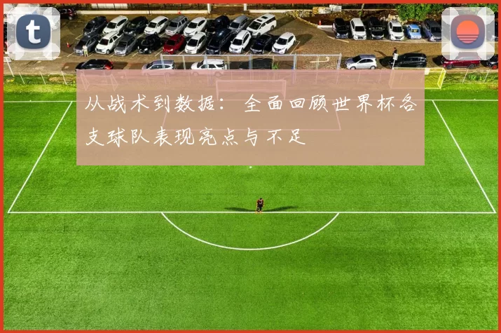 从战术到数据：全面回顾世界杯各支球队表现亮点与不足