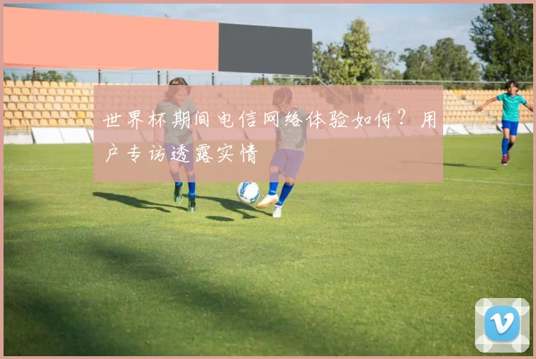 世界杯期间电信网络体验如何?用户专访透露实情