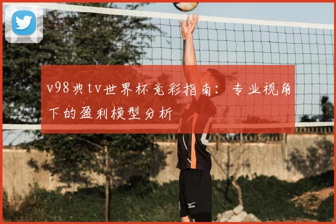 v98典tv世界杯竞彩指南：专业视角下的盈利模型分析