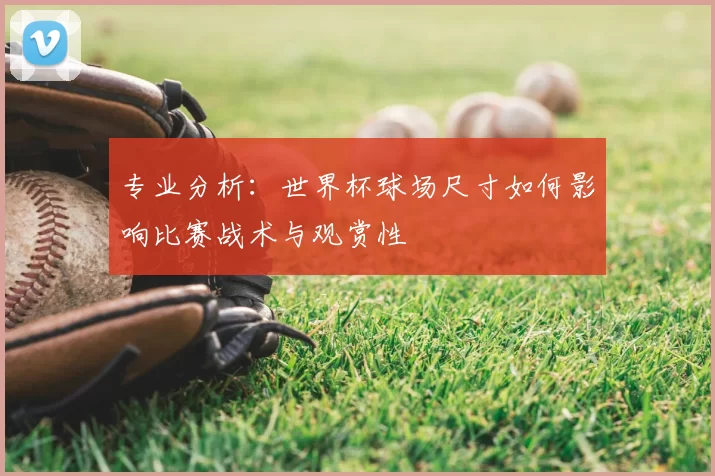 专业分析：世界杯球场尺寸如何影响比赛战术与观赏性