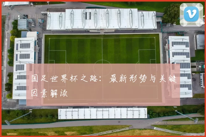 国足世界杯之路：最新形势与关键因素解读