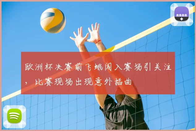 欧洲杯决赛前飞蛾闯入赛场引关注,比赛现场出现意外插曲