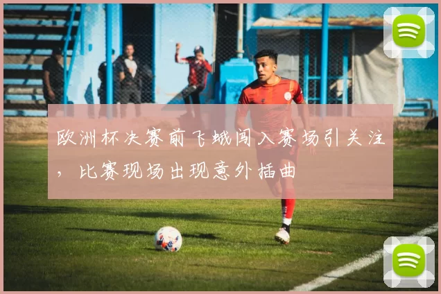 欧洲杯决赛前飞蛾闯入赛场引关注,比赛现场出现意外插曲
