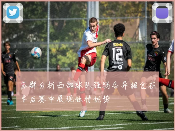 苏群分析西部球队强弱各异掘金在季后赛中展现独特优势